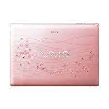Sony Vaio E Series SVE14A25CNPI 14-inch Laptop (Blooming